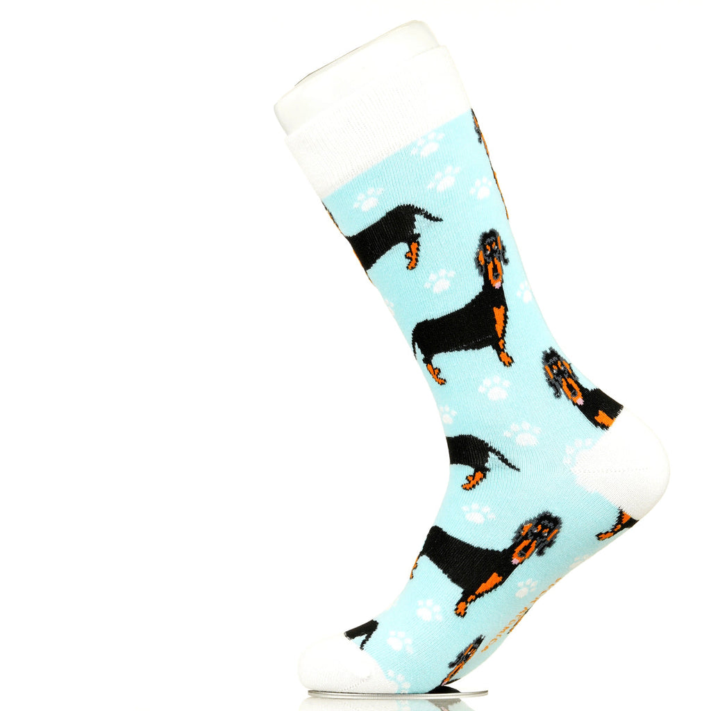 Dachshund | Plenty of Pups