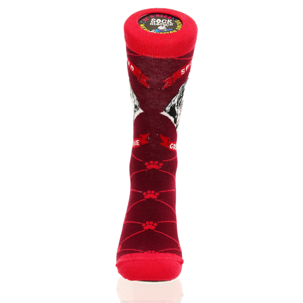 Spotted Great Dane | Argyle Pups