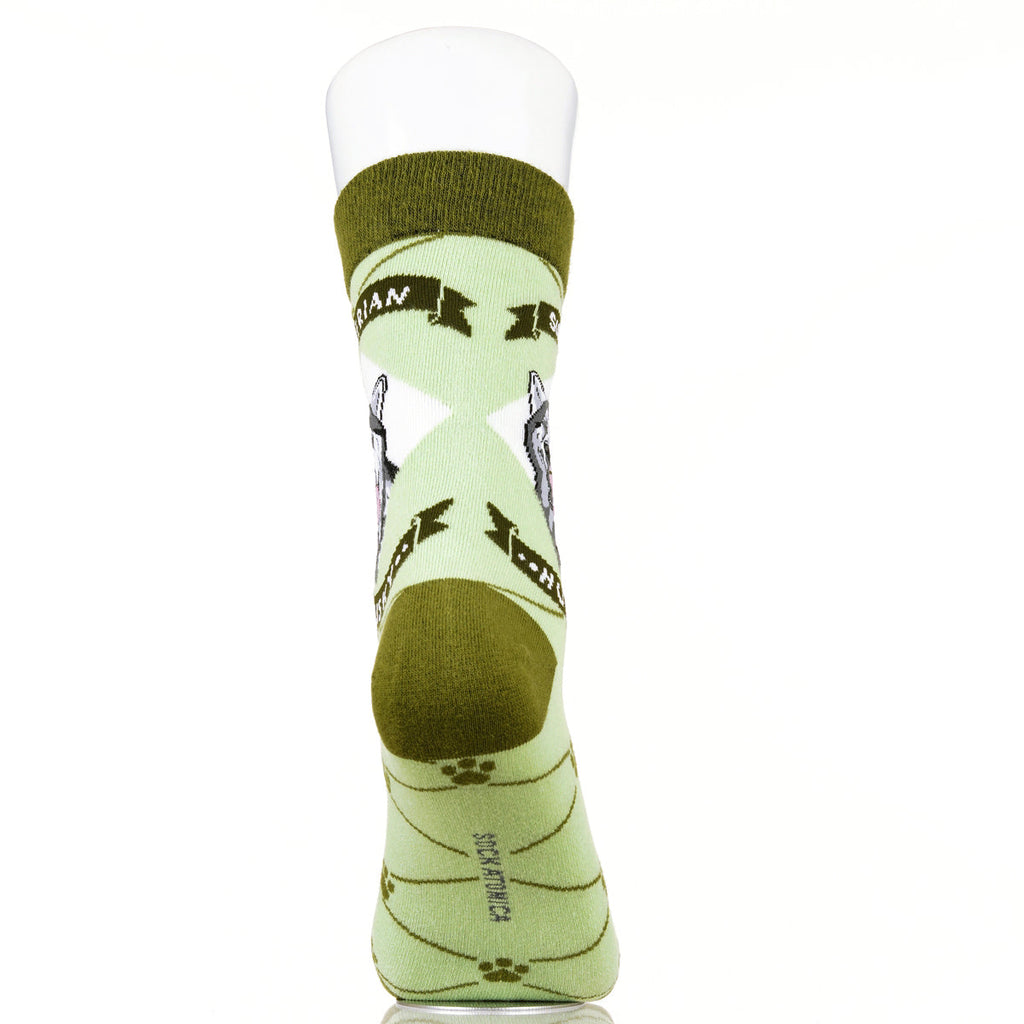 Siberian Husky | Argyle Pups