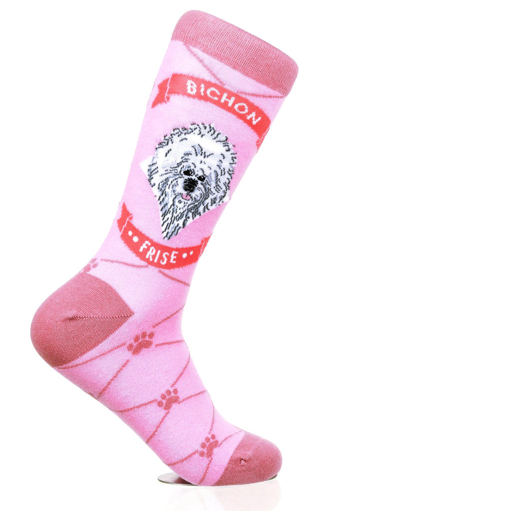 Bichon Frise | Argyle Pups