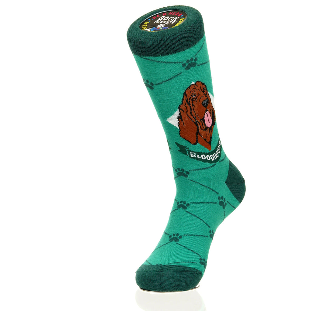 Bloodhound | Argyle Pups