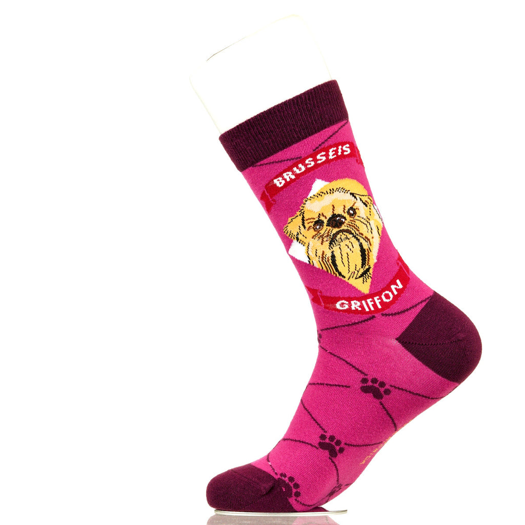 Brussels Griffon | Argyle Pups