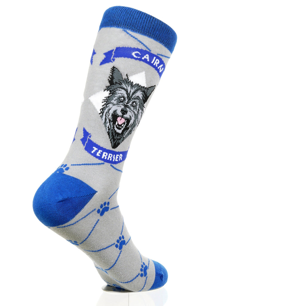 Cairn Terrier | Argyle Pups