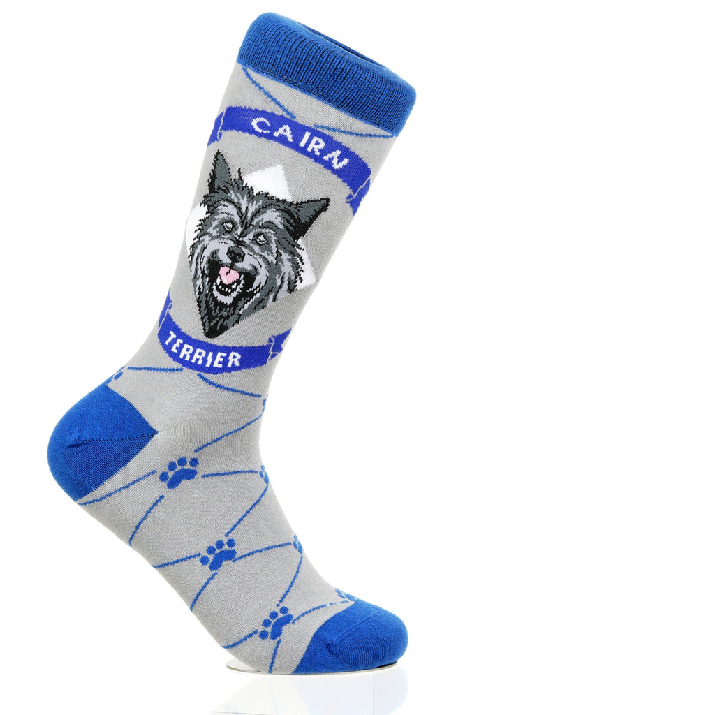 Cairn Terrier | Argyle Pups