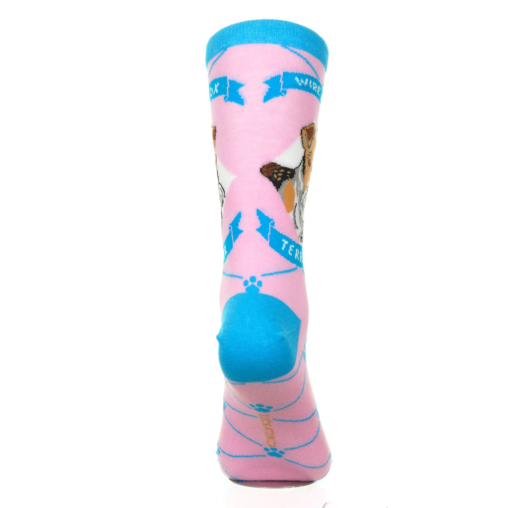 Wire Fox Terrier | Argyle Pups