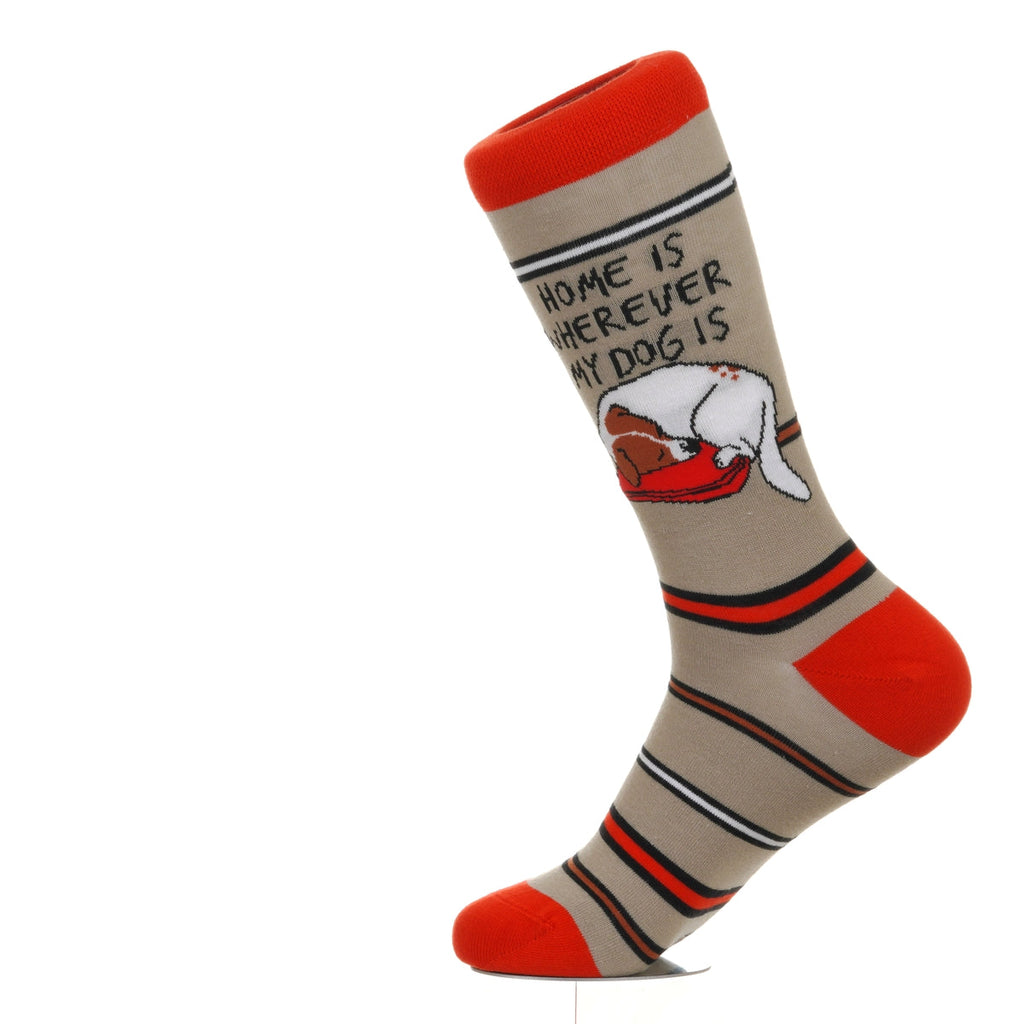 Home Is Where My Dog Is