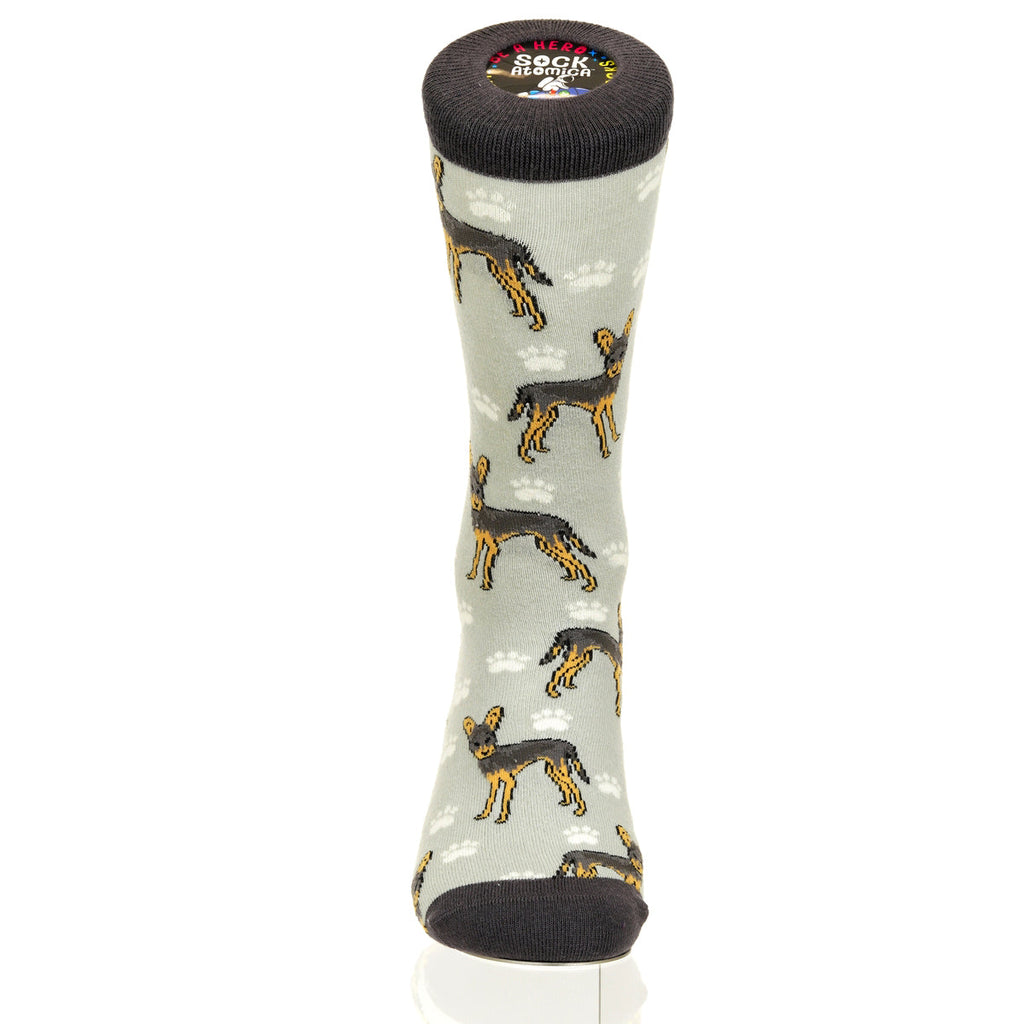 Chihuahua | Plenty of Pups