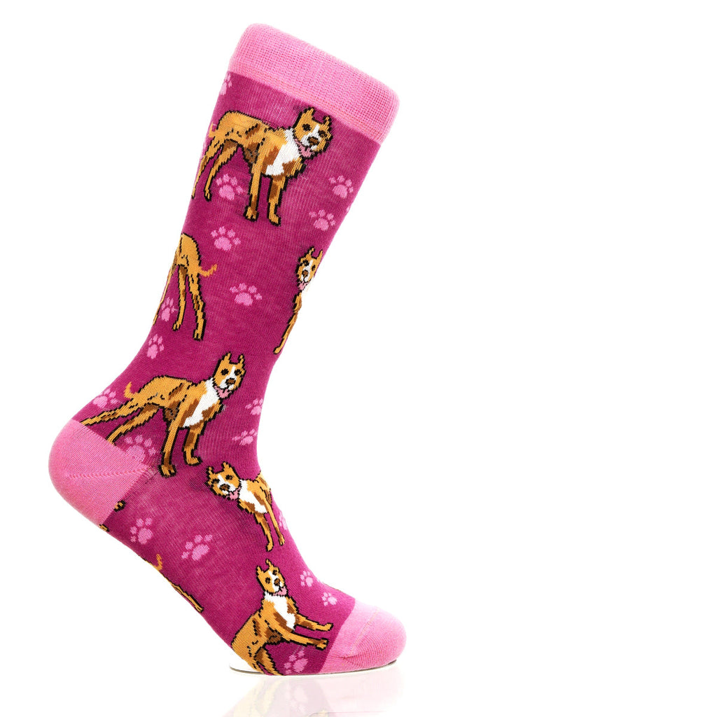 Pitbull | Plenty of Pups