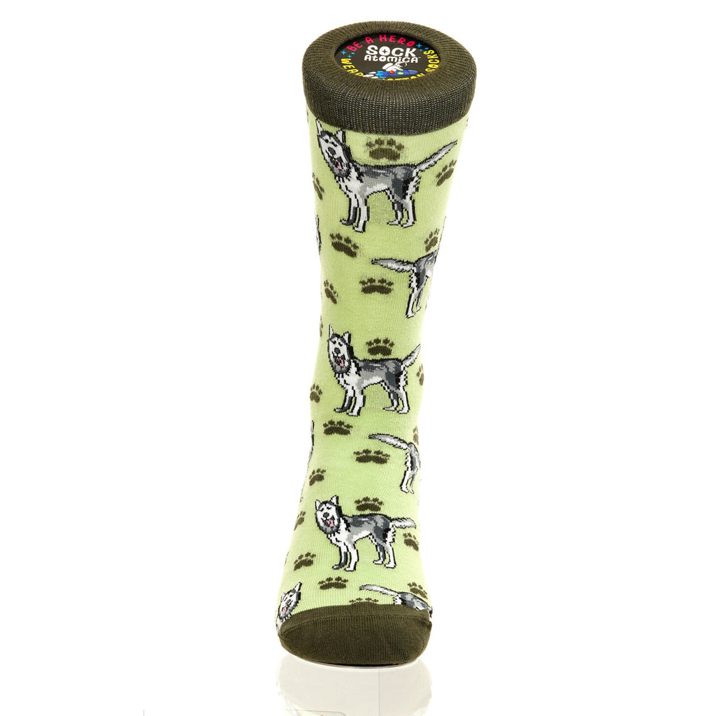 Siberian Husky | Plenty of Pups