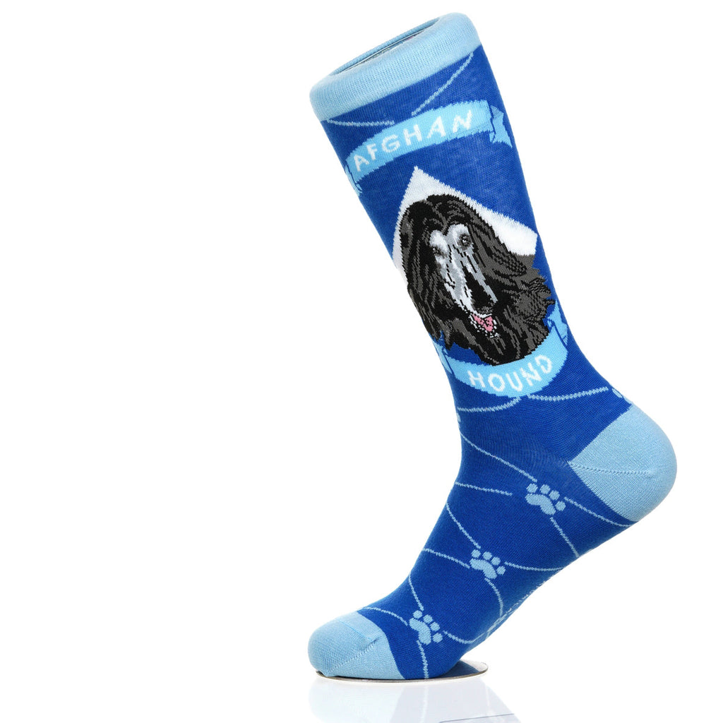 Afghan Hound | Argyle Pups