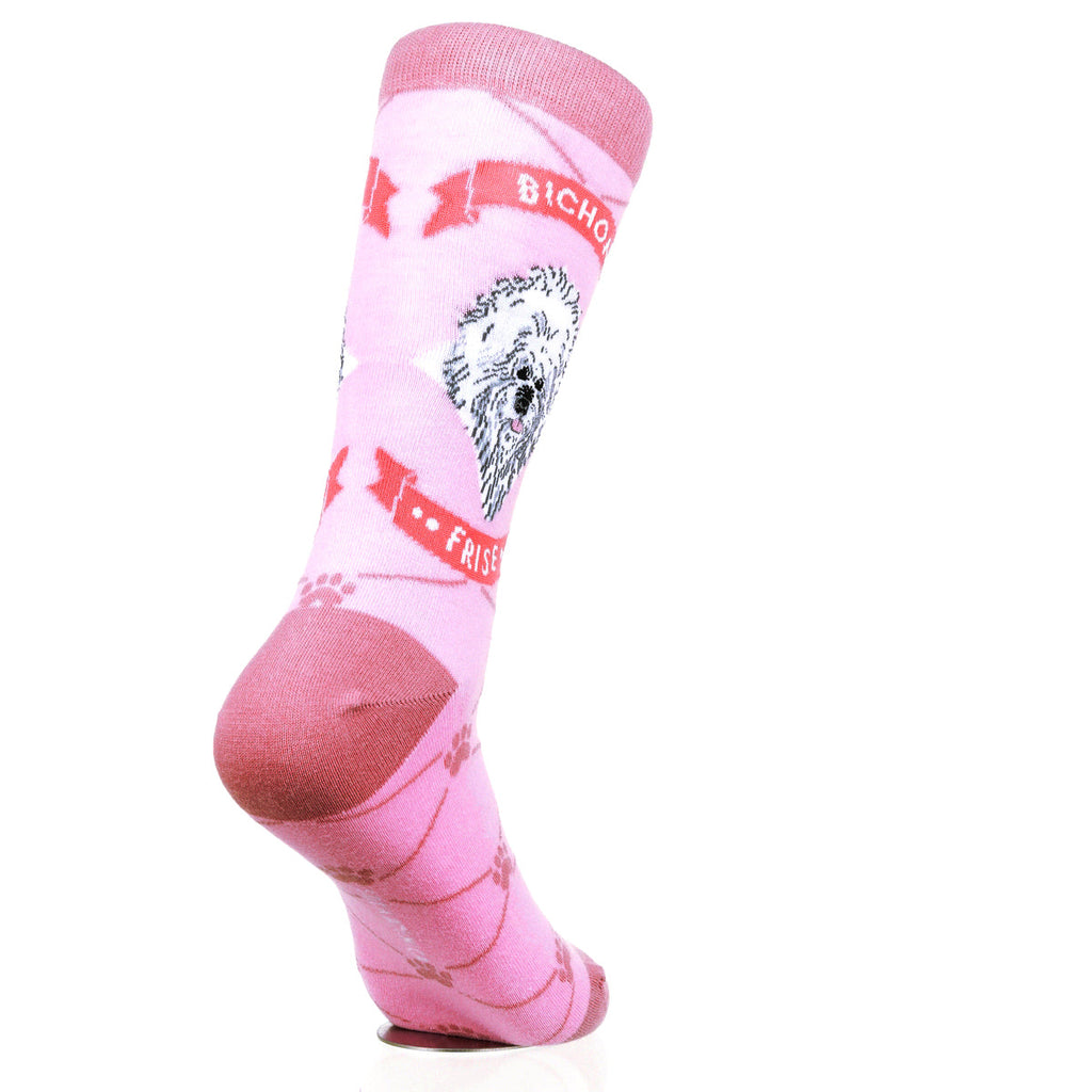 Bichon Frise | Argyle Pups