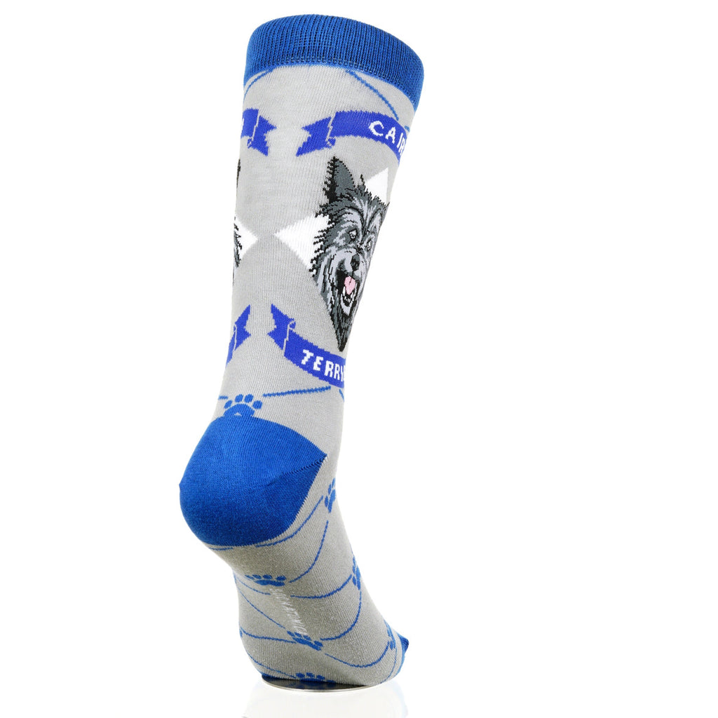 Cairn Terrier | Argyle Pups