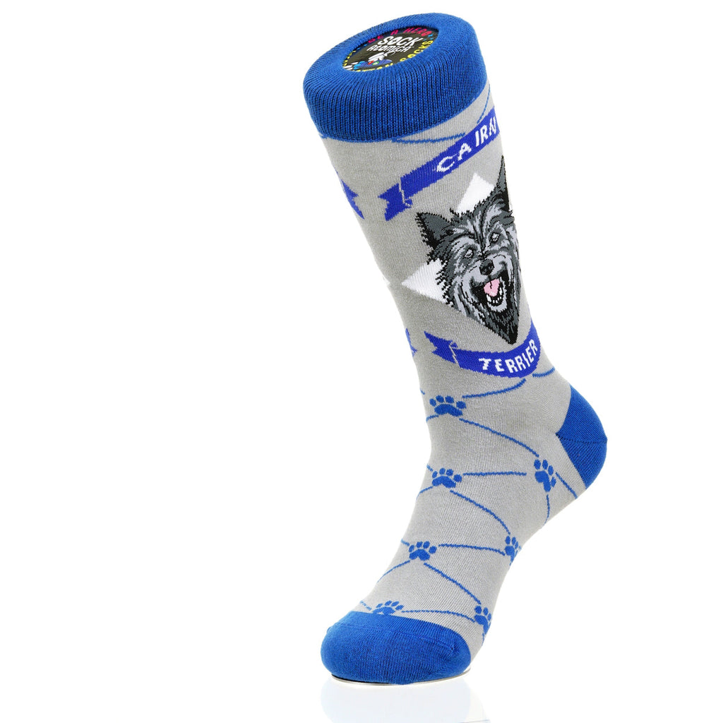 Cairn Terrier | Argyle Pups