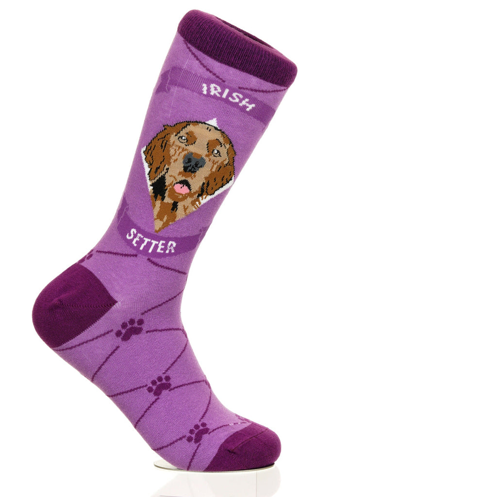 Irish Setter | Argyle Pups