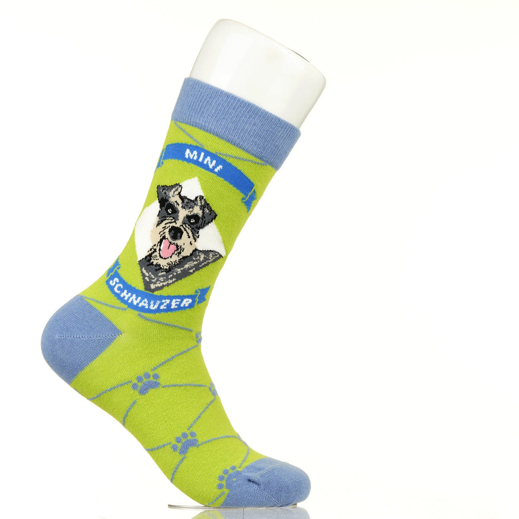 Mini Schnauzer | Argyle Pups