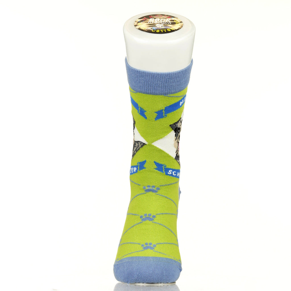 Mini Schnauzer | Argyle Pups