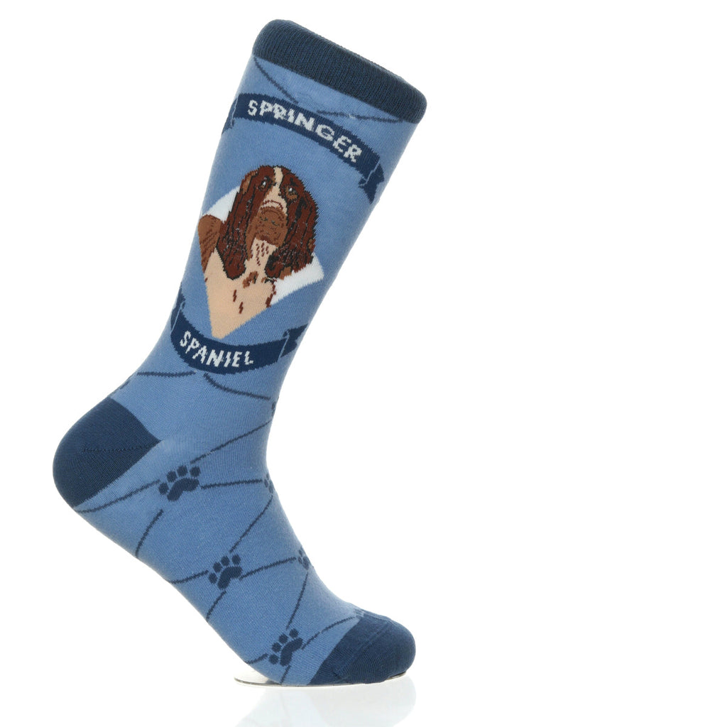 Springer Spaniel | Argyle Pups