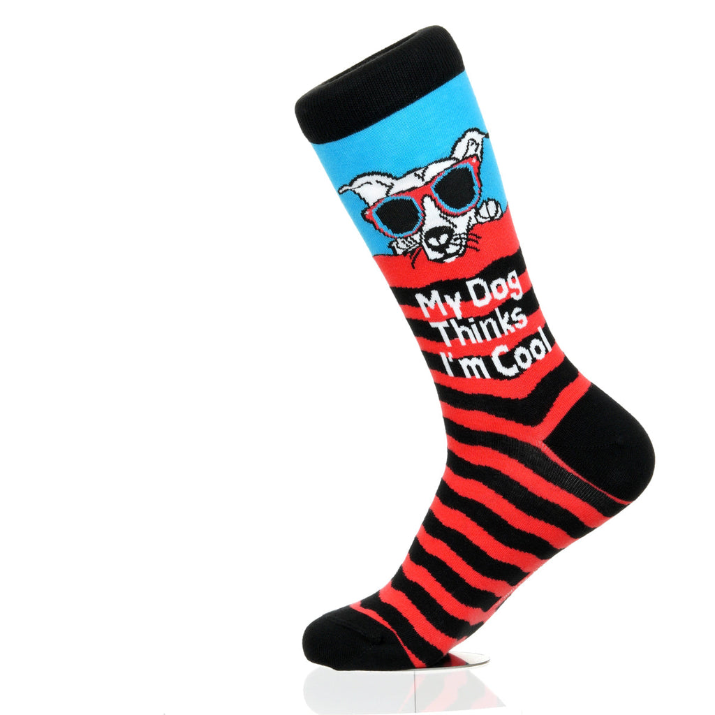 My Dog Thinks I'm Cool
